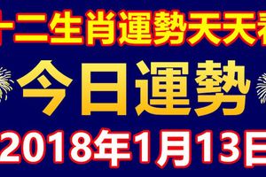 十二生肖運勢天天看，今日運勢：1月13日