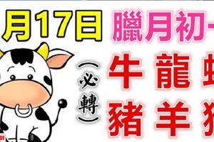 1月17日生肖運勢_牛、龍、蛇大吉