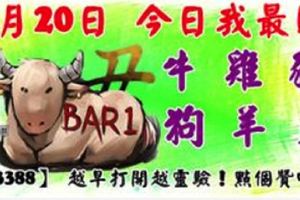 1月20日，今日我最旺！牛雞豬狗羊兔！【23388】越早打開越靈驗！點個贊吧！