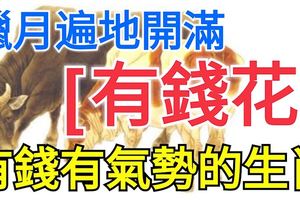 臘月遍地開滿「有錢花」，有錢有氣勢的三大生肖！