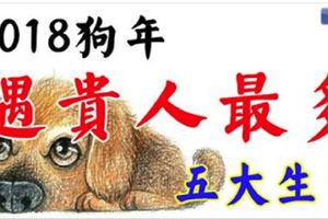2018狗年遇貴人最多的五大生肖！有你嗎？