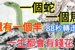 農曆十二月初八，一個蛇，一個馬，還有一個羊！88秒轉走，一生都會有錢花！