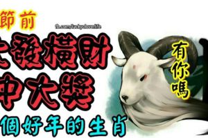 春節前還能大發一筆橫財，過個好年的生肖，有你嗎？？