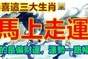 恭喜這三大生肖，馬上走運，走的是偏財運，運勢一路暢通