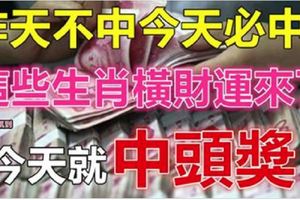 昨天不中今天必中！這些生肖橫財運來了，今天就中頭獎！