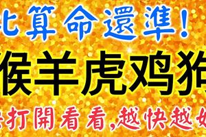 比算命還准！今天1月31號，送給這5個生肖，快打開看看，越快越好！