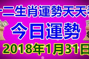 十二生肖運勢天天看，今日運勢：2018年1月31日