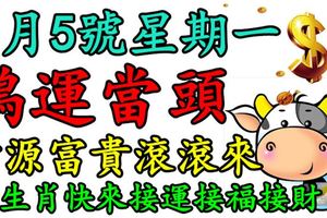 2月5號星期一，鴻運當頭，財源富貴滾滾來三生肖快來接運接福接財