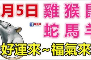 2月5日生肖運勢_雞、猴、鼠大吉
