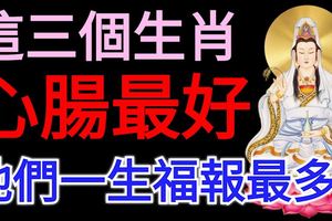 心腸最好，這三個生肖一生福報最多，尤其是2月！
