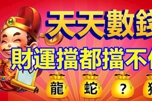 天天數錢的4大生肖今年「了不起」，財運擋都擋不住