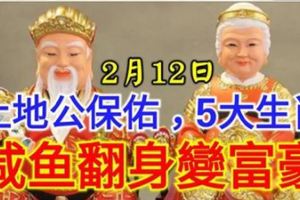 2月12日，土地公保佑，註定大發一筆橫財，鈔票堆成山，鹹魚翻身變富豪的5生肖