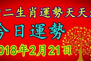 十二生肖運勢天天看，今日運勢：2018年2月21日