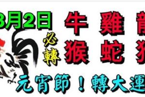 3月2日生肖運勢_牛、雞、龍大吉