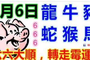 3月6日生肖運勢_龍、牛、豬大吉