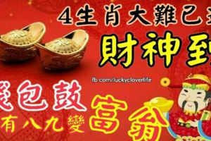 4生肖大難已過，今年財神到，錢包鼓，十有八九變富翁