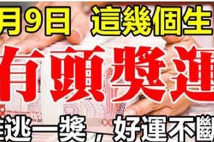 3月9日，這幾個生肖最有橫財命，難逃一獎，好運不斷！