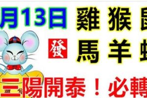 3月13日生肖運勢_雞、猴、鼠大吉