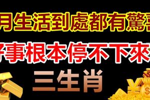 4月生活到處都有驚喜，好事根本停不下來的生肖