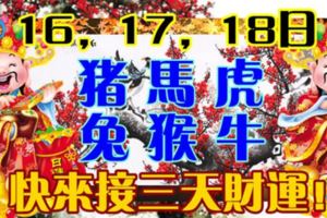 16，17，18日。屬豬，馬，虎，兔，猴，牛。快來接三天財運！