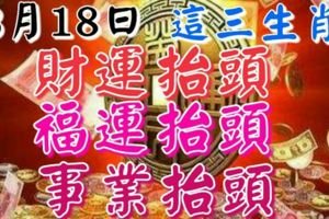 3月18龍抬頭,這三生肖財運抬頭,福運抬頭,事業抬頭!