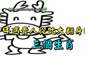中年遇貴人從此大翻身的三個生肖