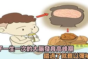 孩子大腦發育的黃金期是什麼時候？育兒專家提醒：一生只有一次，錯過不可逆!