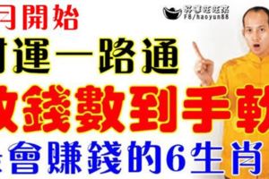 9月開始，數錢數到手軟，最會賺錢的6生肖