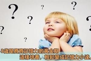 0-3歲是寶寶記憶力的黃金期，這樣培養，能讓寶寶記憶力成長五倍到十倍！