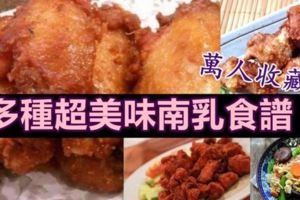 分享多種超美味南乳食譜。南乳：中國最傳統的食材之一。一起來學煮南乳可煮的美味菜色！