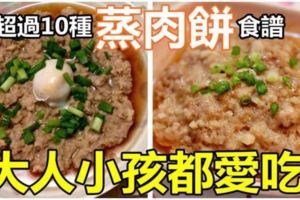 『超過10種蒸肉餅食譜』讓你天天換不同口味蒸肉餅，大人小孩都愛吃的菜肴