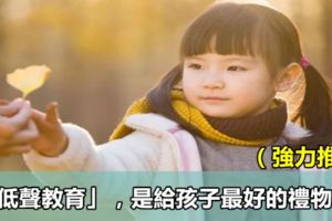 「低聲教育」，是給孩子最好的禮物！（強力推薦）