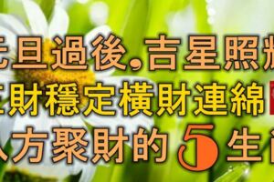 元旦過後，吉星照耀，正財穩定，橫財連綿，八方聚財的5大生肖！