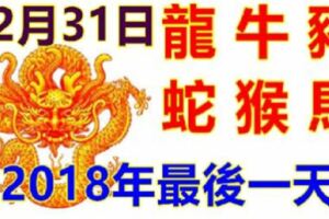 12月31日生肖運勢_龍、牛、豬大吉