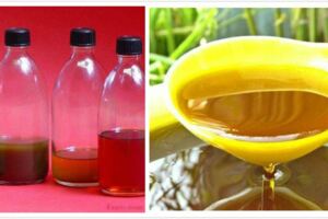 花生油、菜籽油、玉米油和豬油，這四種常用油哪種對人體最有益？