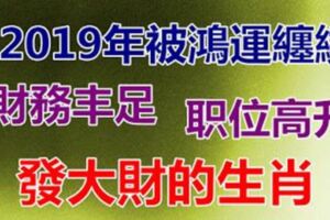 2019年被鴻運纏繞，財務豐足，不是職位高升就是發大財的生肖