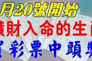 2月20號開始，六大生肖橫財入命，買彩票有望中頭獎