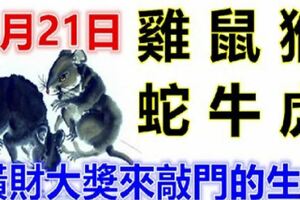 2月21日生肖運勢_雞、鼠、猴大吉