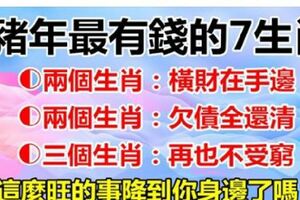 豬年最有錢的7個生肖：有人橫財在手邊，有人欠債全還清，有人再也不受窮，你希望自己是哪個？