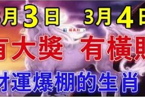 九大生肖：3月3日有大獎，3月4日有橫財。