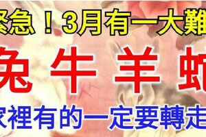 屬兔、牛、羊、蛇的人！3月有一大難！家裡有的請為他們轉走，逢凶化吉！