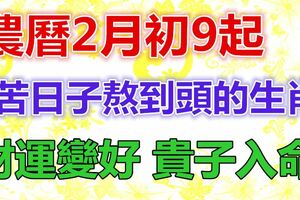 農曆2月初9起，財運變好，貴子入命，苦日子熬到頭的生肖