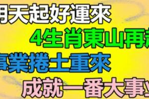 明天起好運來，4生肖東山再起，事業捲土重來，生活大喜特喜