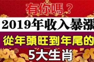 2019年從年頭旺到年尾的五大生肖