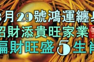 3月29號起鴻運纏身，招財添貴旺家業，偏財旺盛的5大生肖！