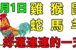 4月1日生肖運勢_雞、猴、鼠大吉