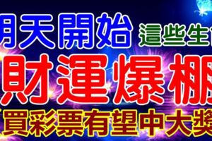 明天開始，這些生肖財運爆棚【買彩票有望中大獎】