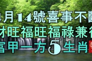 4月14號起喜事不斷，財旺福旺，福祿兼得，富甲一方的5大生肖！