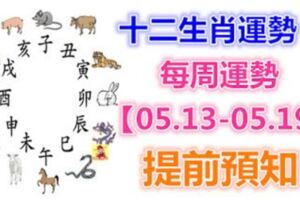 十二生肖運勢：每周運勢【05.13-05.19】提前預知！