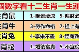 生命靈數：9個數字看12生肖一生運勢衰旺，算算你是幾？